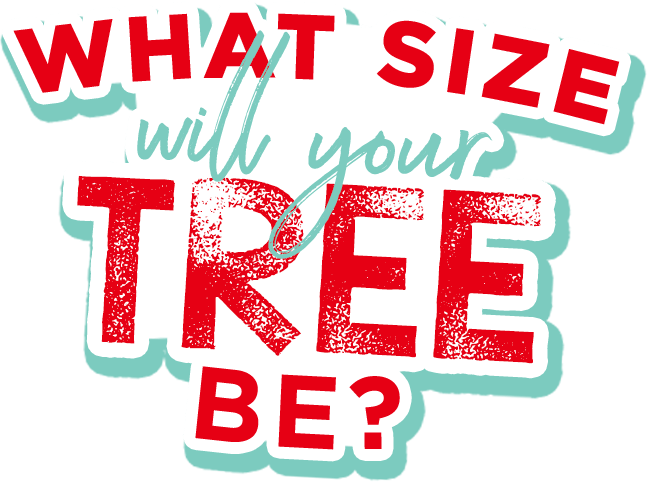 What Size Will Your Tree Be - Illustration (647x482), Png Download
