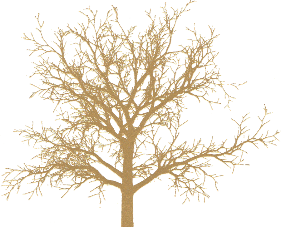 Grass (900x727), Png Download