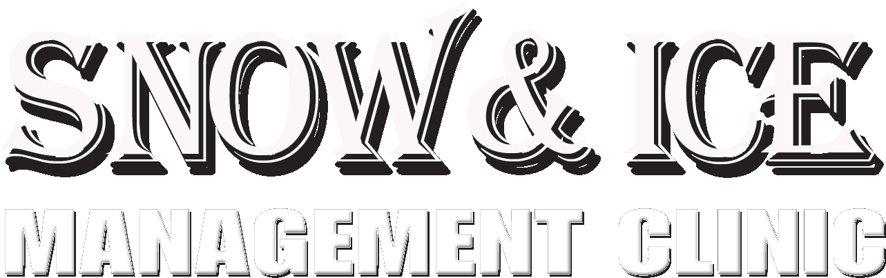 Snowicelogo2 - Calligraphy (1425x420), Png Download