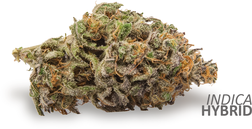 Black Afghan Is A Complex Strain With Euphoric And - Honeybee (914x475), Png Download