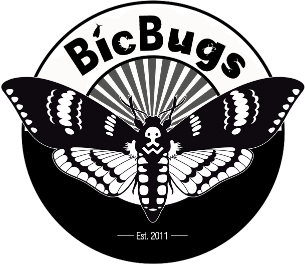 Bicbugsllc Bicbugsllc - Draw Deaths Head Moth (613x541), Png Download