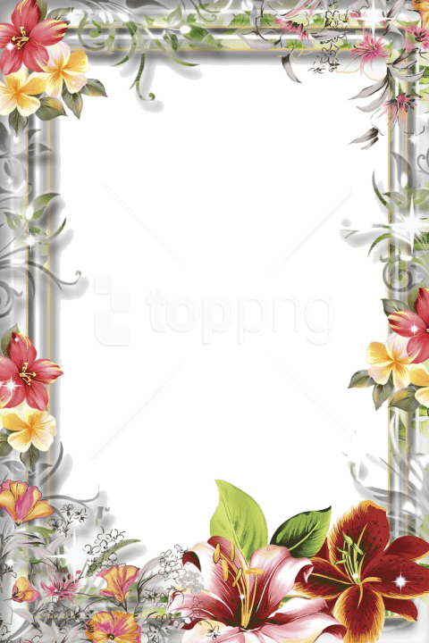 Free Png Mood Frame Png - Wedding Frame Png Png (480x720), Png Download