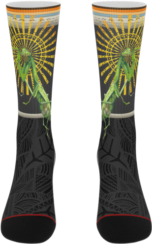 Phylth Amendment Praying Mantis Socks - Vase (580x580), Png Download