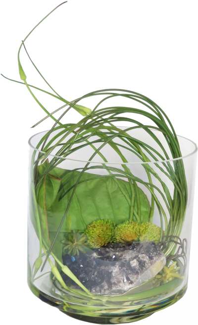 Black Crystal, Large Leaf, Green/golden Protea, Allium - Vase (800x800), Png Download