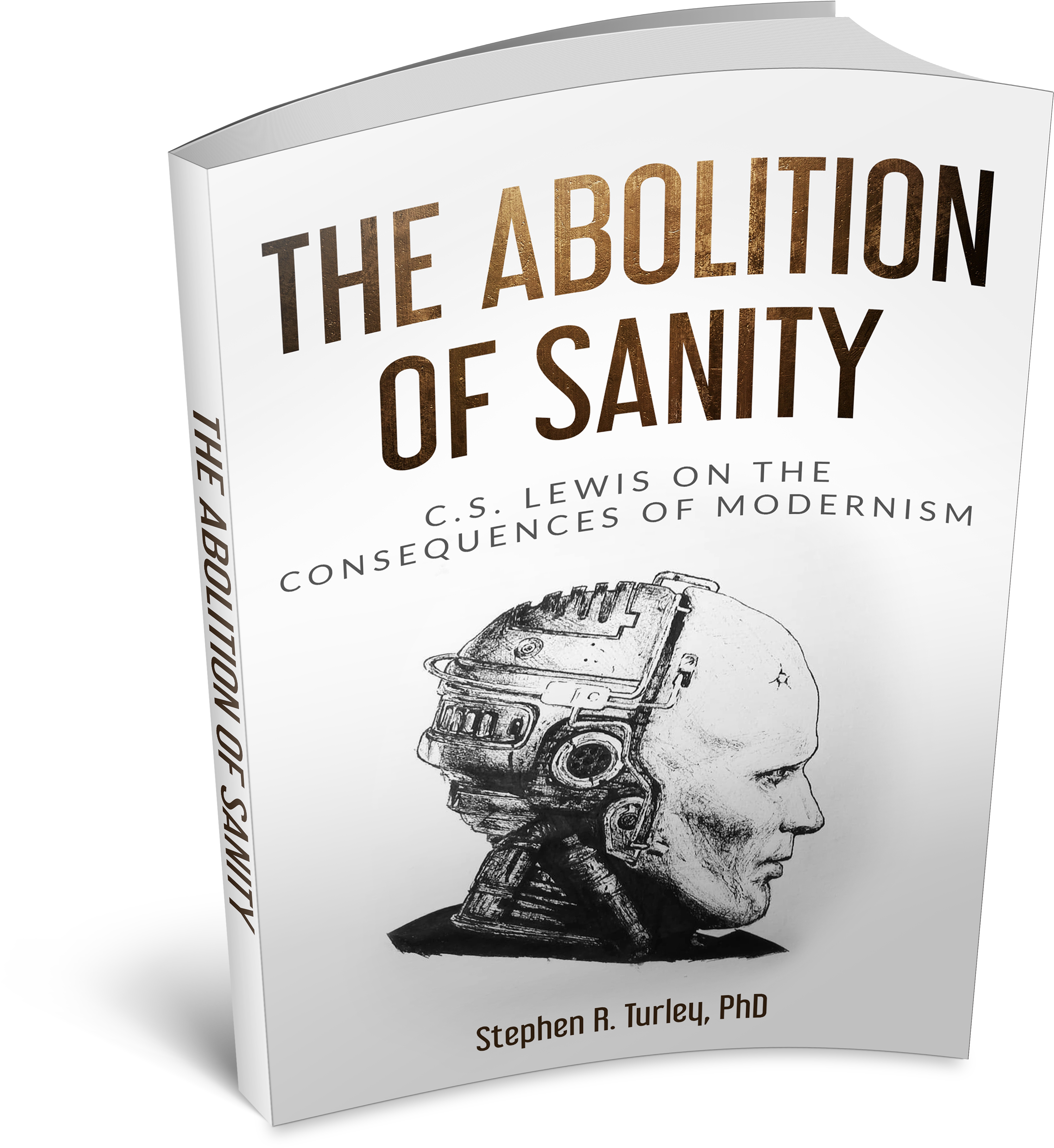 Abolition Of Sanity 3d Image - Illustration (4113x4610), Png Download