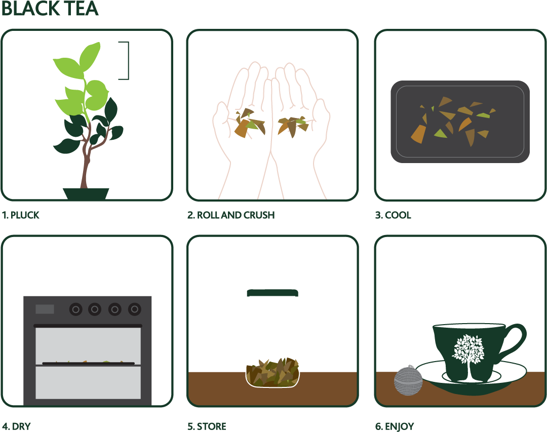 How To Make Your Own Tea - Cartoon (1084x860), Png Download